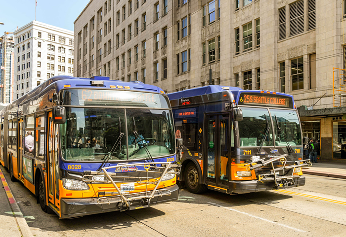 Think You Are the King of the Bus?